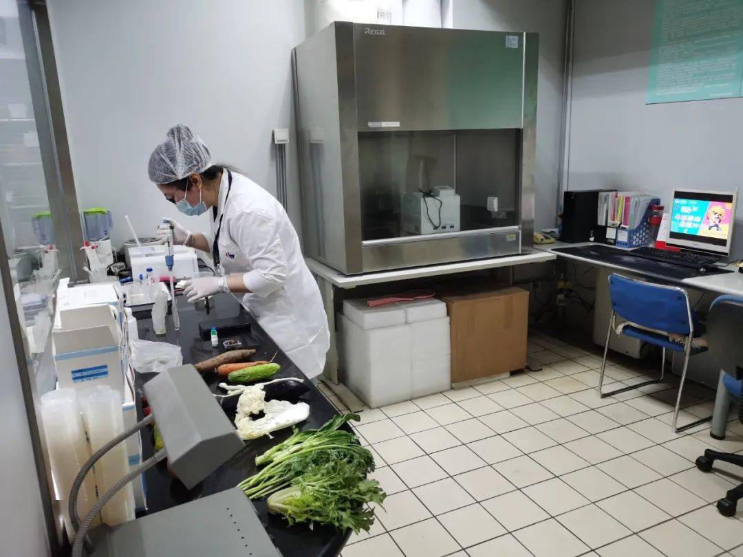 雄县食品检测实验室装修方案